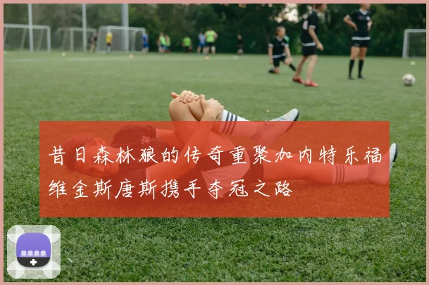 昔日森林狼的传奇重聚加内特乐福维金斯唐斯携手夺冠之路